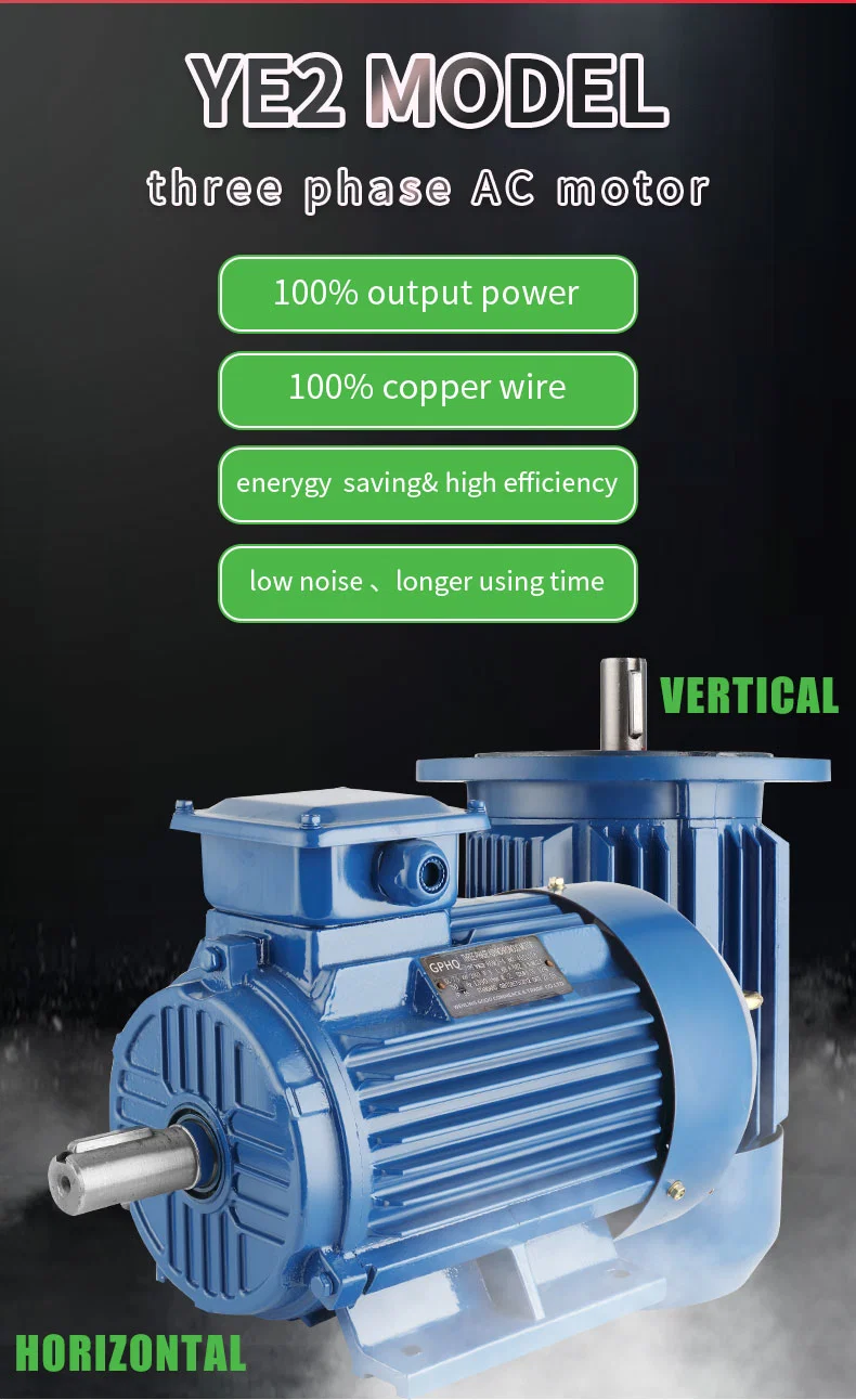 Ie2 Induction Three Phase Electric Motor Side Terminal Box