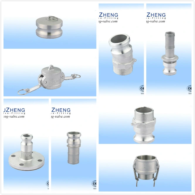 Stainless Steel 304/316 Quick Joint Type F with Bsp/BSPT/NPT