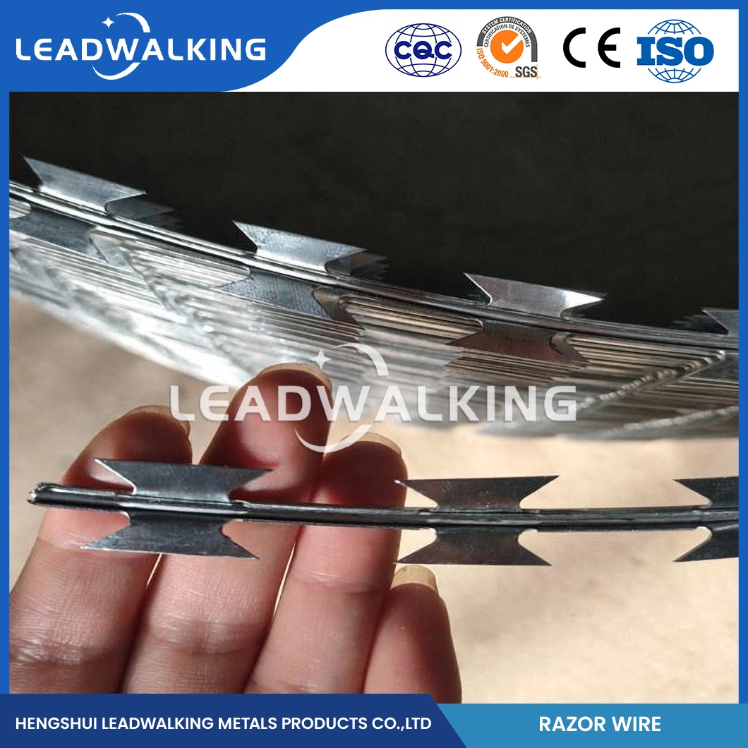 Leadwalking Tensioning Barbed Wire Manufacturing 19 Strands Steel Wire Galvanised Razor Barbed Wire China Bright Surface Cheap Razor Barbed Wire