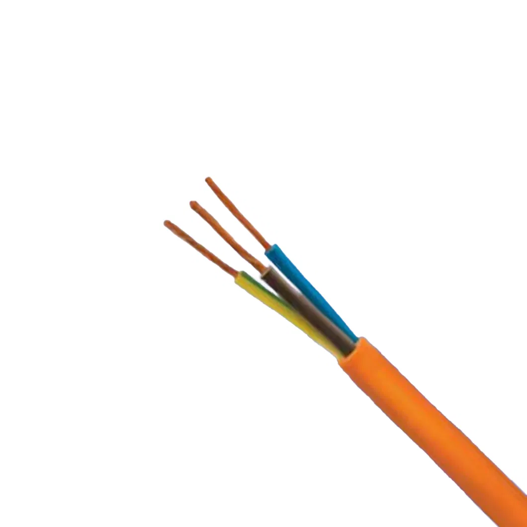 H05V2-K 300/500V PVC Insulated Multi-Core Bare Copper Ground Wire Extruded Wire Assembly