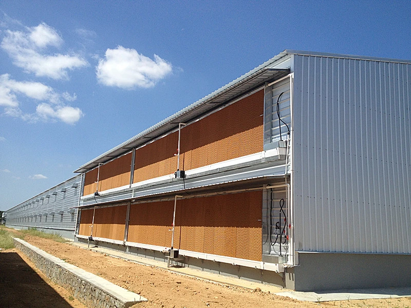 Steel Construction Prefabricated Broiler Chicken House