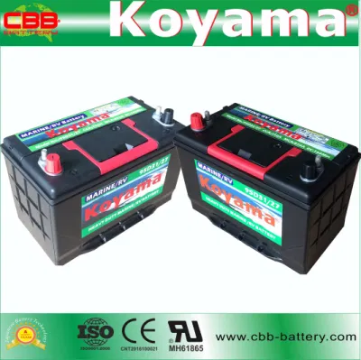 Batteria nautica per uso automobilistico da 12V 80 ah, senza manutenzione, BCI-27 (95D31RMF) doppia Terminale