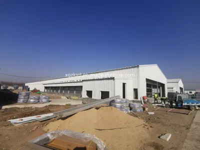 Costruzione in acciaio prefabbricati Brockiler Casa di pollo