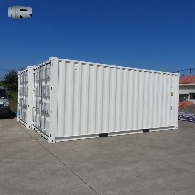 20 piedi Standard Sea Container Box in vendita