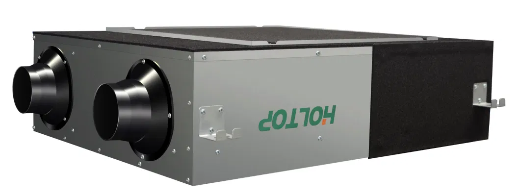 Holtop Small Airflow Erv Hrv Heat Recovery Unit with 80% Recovery Efficiency