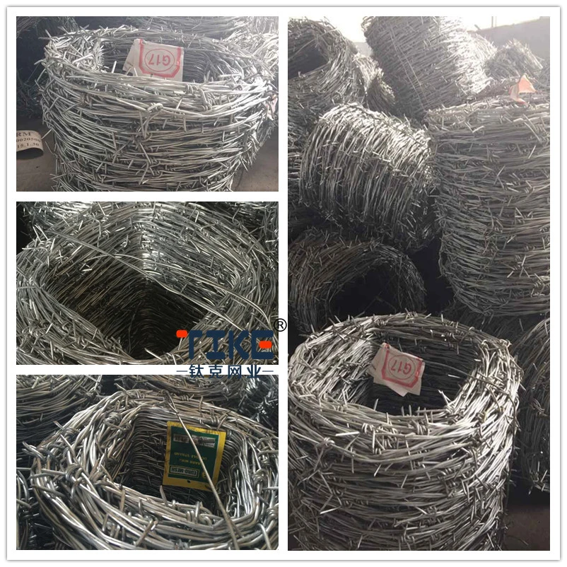 2.5 mm Wire 400 M Roll Barbed Wire/1.6mm Galvanised Barbed Wire Roll