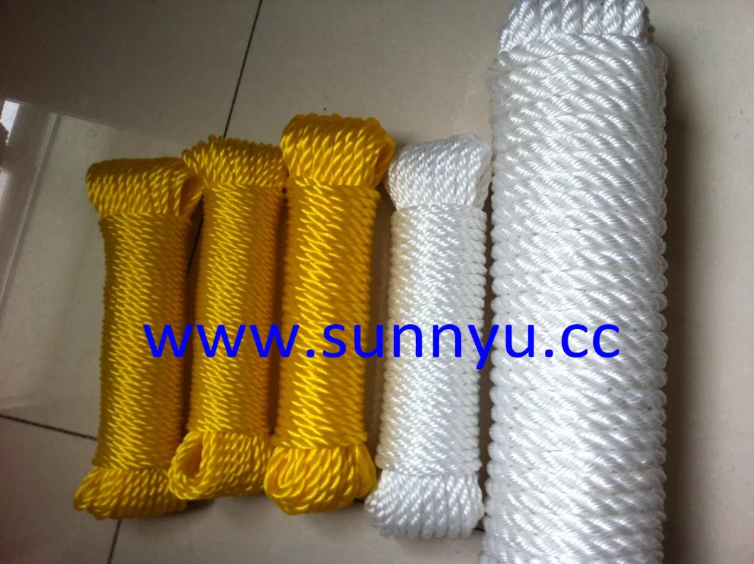 Professional Factory Strength Flat Polyester Cord