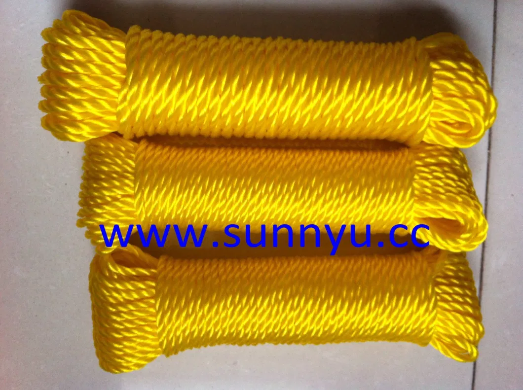 Professional Factory Strength Flat Polyester Cord