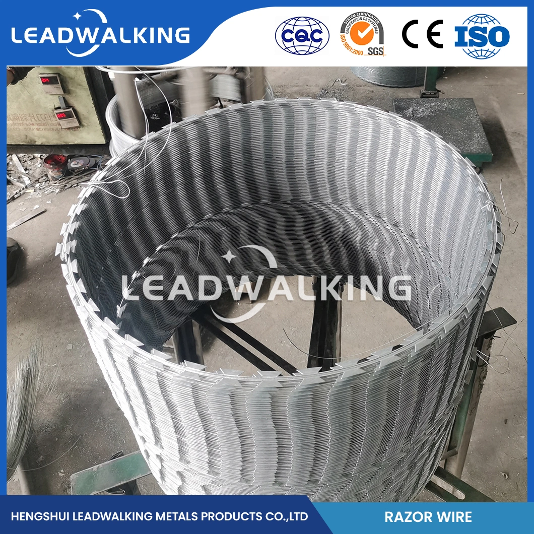 Leadwalking Tensioning Barbed Wire Manufacturing 19 Strands Steel Wire Galvanised Razor Barbed Wire China Bright Surface Cheap Razor Barbed Wire