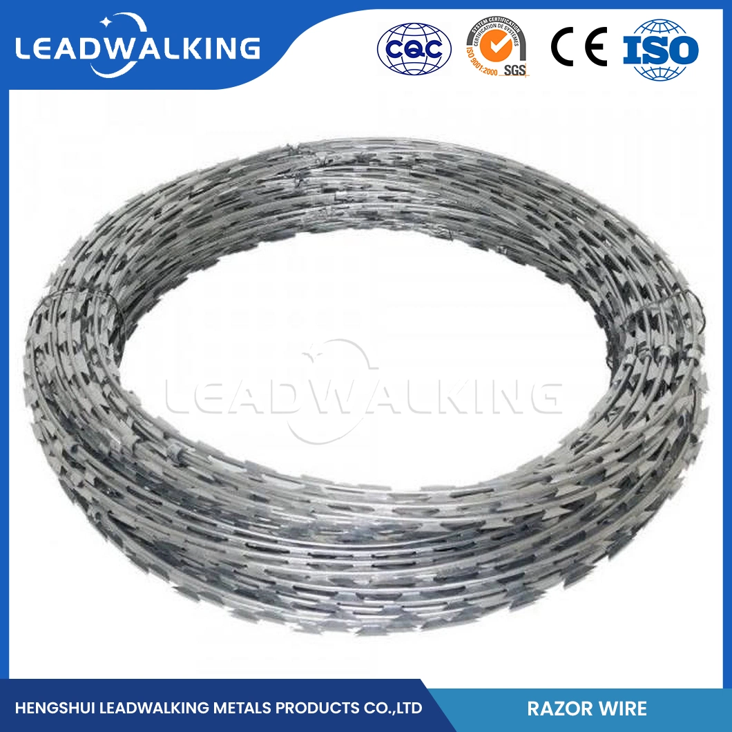 Leadwalking Tensioning Barbed Wire Manufacturing 19 Strands Steel Wire Galvanised Razor Barbed Wire China Bright Surface Cheap Razor Barbed Wire
