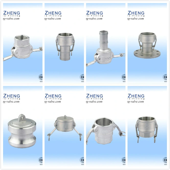 Stainless Steel 304/316 a Type Quick Joint with Flange