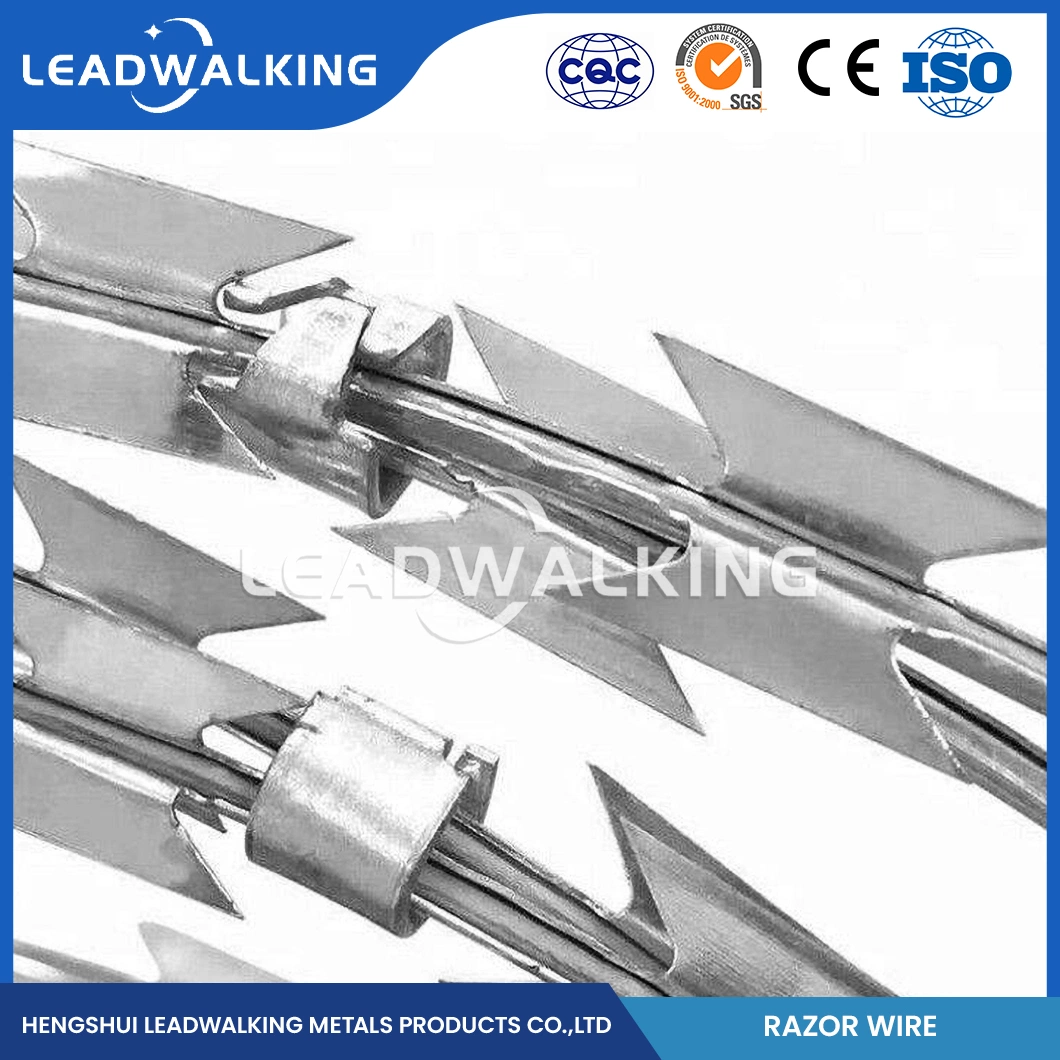 Leadwalking Tensioning Barbed Wire Manufacturing 19 Strands Steel Wire Galvanised Razor Barbed Wire China Bright Surface Cheap Razor Barbed Wire