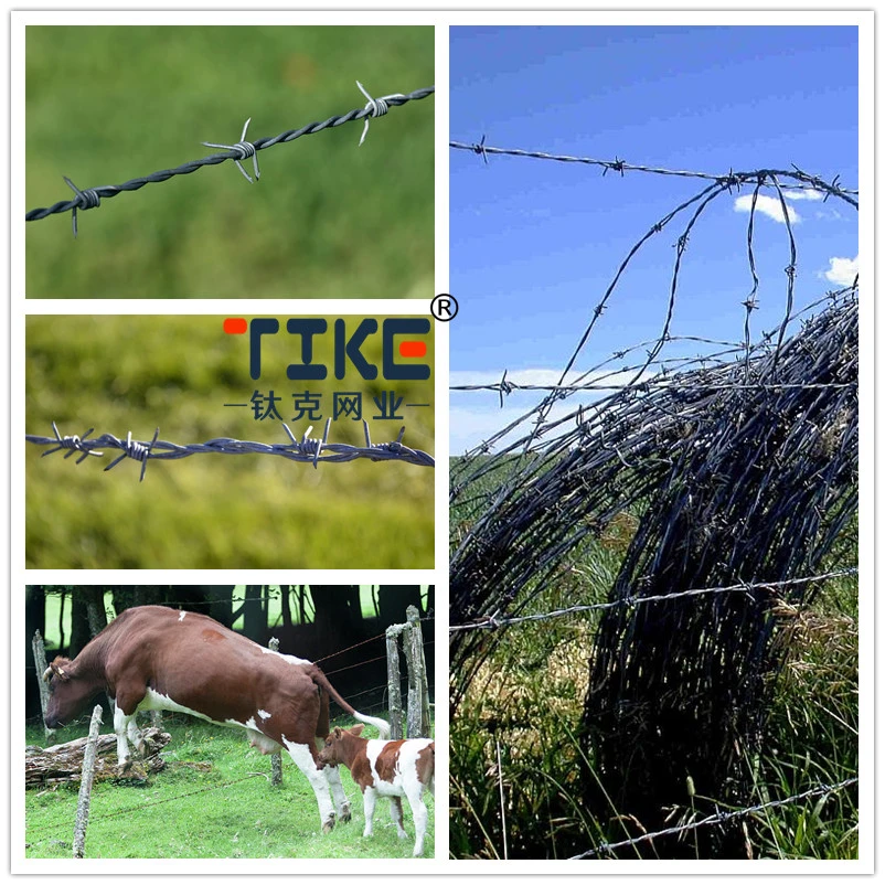 Barbed Fencing Wire /Zinc Coated Barbed Wire/Galvanised Barbed Wire