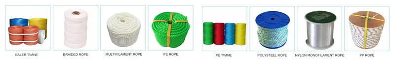 Manufacturing 1-20mm PP/Polyester/Nylon Ropes, Nylon Fishing Braided Rope Cord