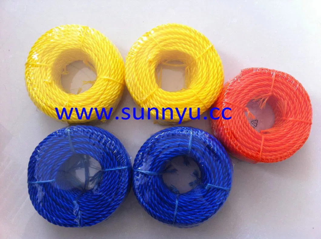 Professional Factory Strength Flat Polyester Cord