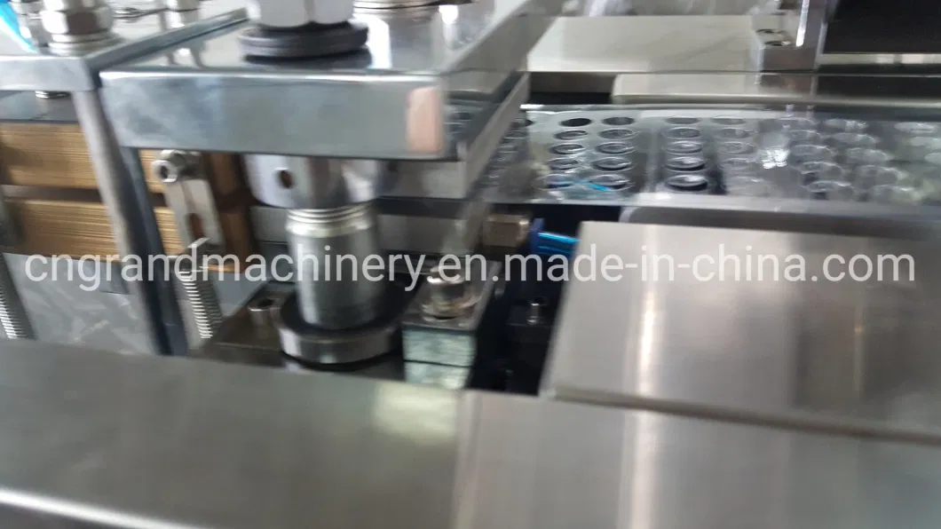 Dpp-80 New Type Red Worms Frozen Herbs Pouring Type Automatic Fish Food Blister Packing Machine