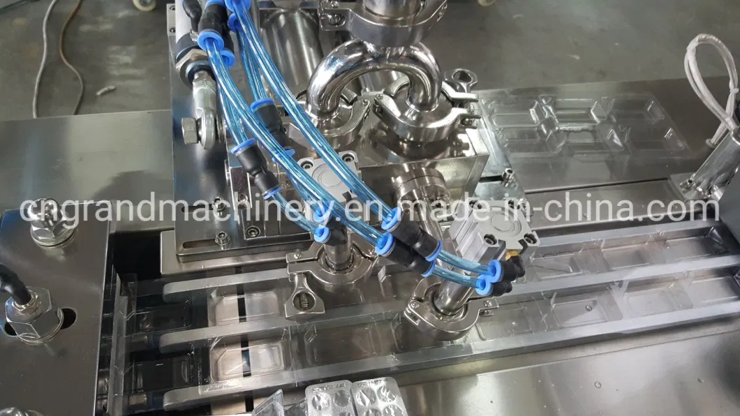 Dpp-80 New Type Red Worms Frozen Herbs Pouring Type Automatic Fish Food Blister Packing Machine
