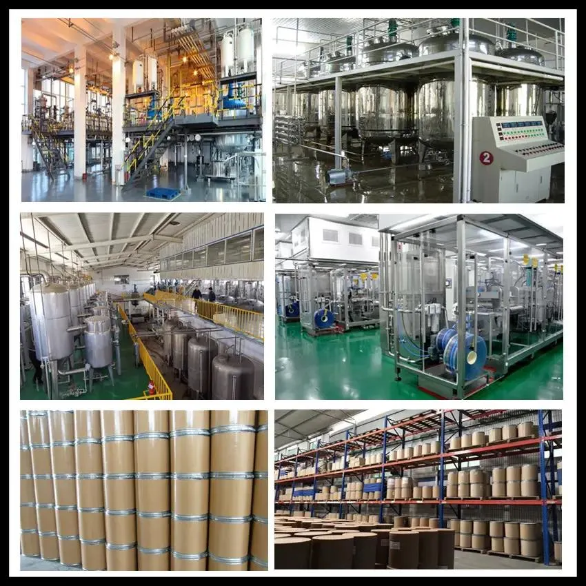 Time-Limited High Purity Production Line 99.9% Sio2 Fused Silica Melted Quartz Sand for Electronic Sealing Material