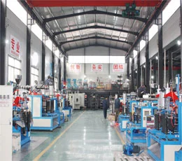 Double Stations Small Bottles Fully Automatic Extrusion Blow Molding Machine