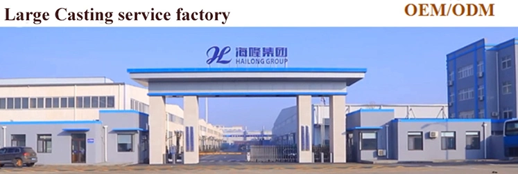 OEM ODM Factory Sand Casting Gravity Casting Process Products Aluminum Die Casting