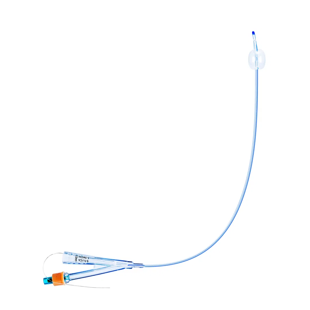 Medical Disposable Suppliers All Silicone Foley Catheter Medical 2 Way 3 Way Silicone Foley Balloon Catheter