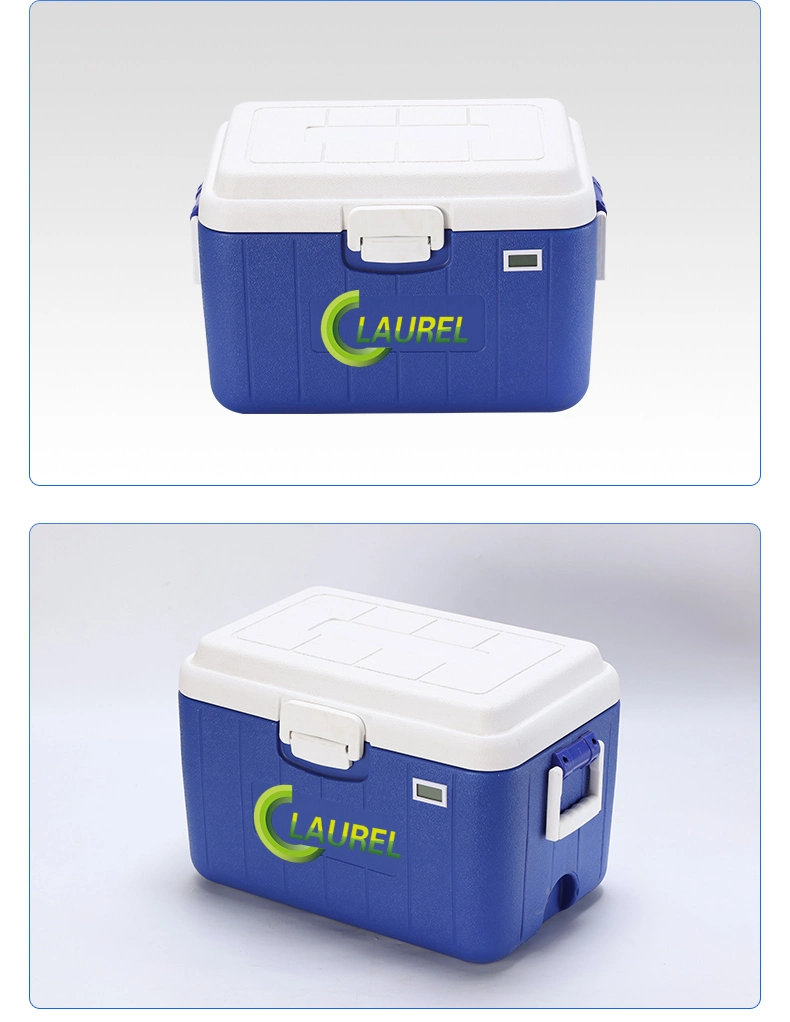 25L Plastic Portable Cooler Box Small Fishing Ice Cooler Box for Fruits and Vegetables Outdoor BBQ Cold Chain Logistics