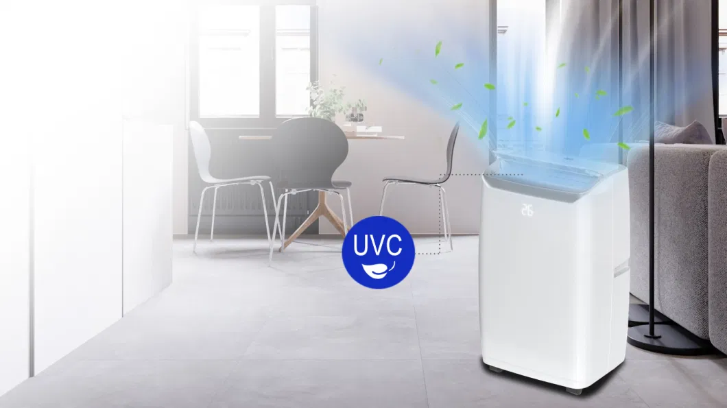 Factory Price Intelligent Portable Air Conditioner with Highly Dehumidifier