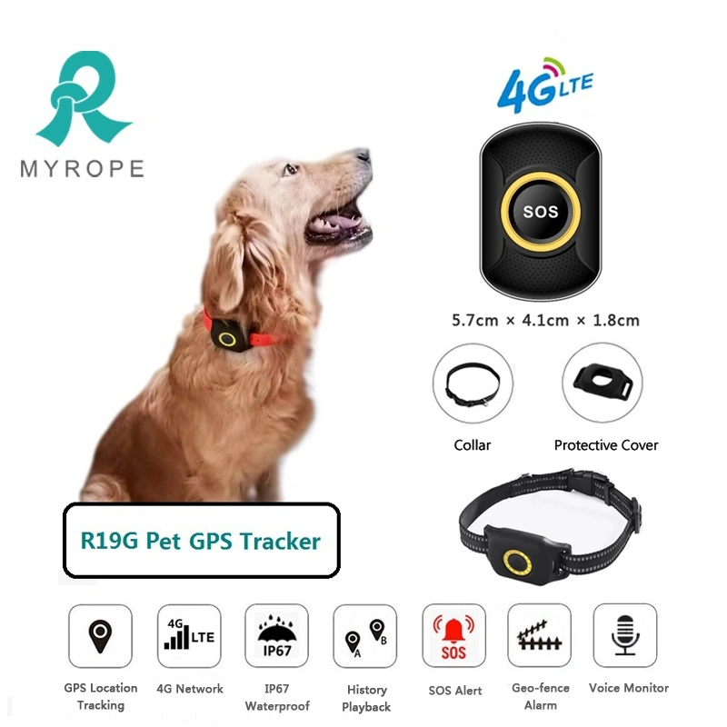 Waterproof Real Time Cat Kitty Cattle Wild Animal Location Tracking Dog Pet GPS Tracker