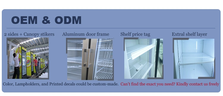 Commercial Hinged Double Door Bottle Display Cooler Fridge Chiller Beer Wine Chiller Refrigerator