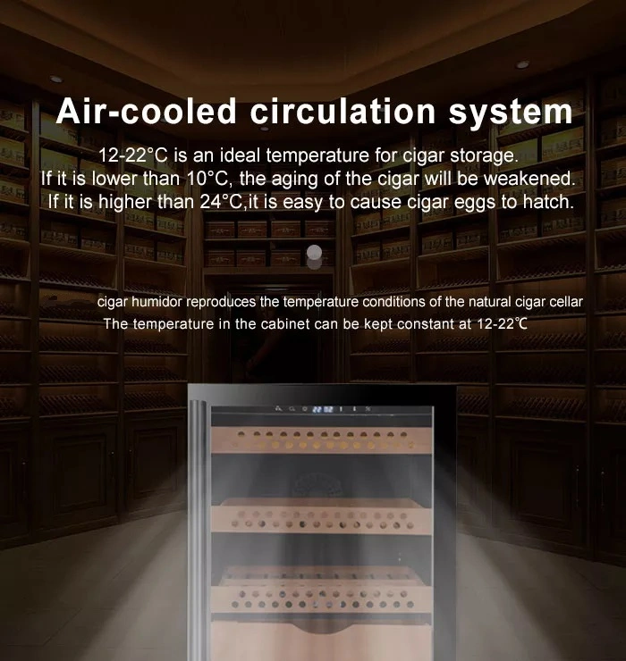 Single Zone Electronic Humidor Cabinet