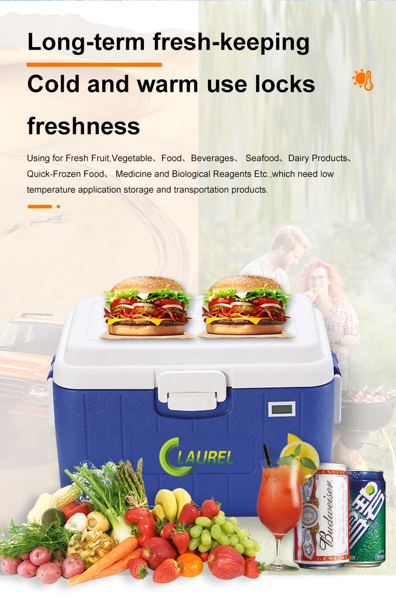 25L Plastic Portable Cooler Box Small Fishing Ice Cooler Box for Fruits and Vegetables Outdoor BBQ Cold Chain Logistics