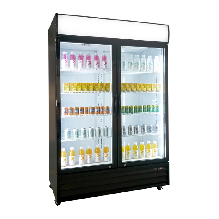 Commercial Hinged Double Door Bottle Display Cooler Fridge Chiller Beer Wine Chiller Refrigerator