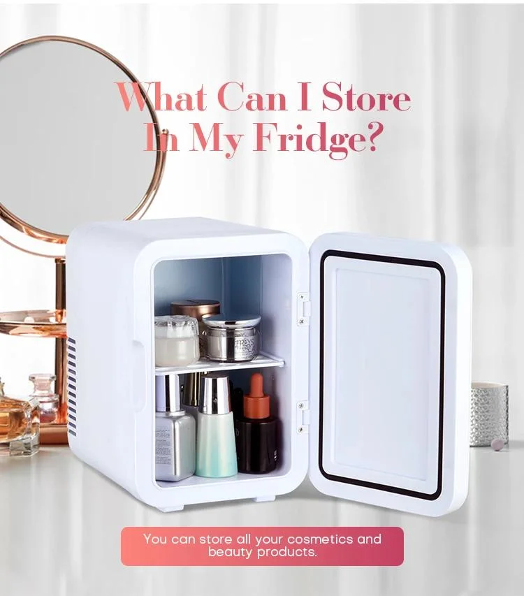 Mini Car Fridge Portable Makeup Refrigerator