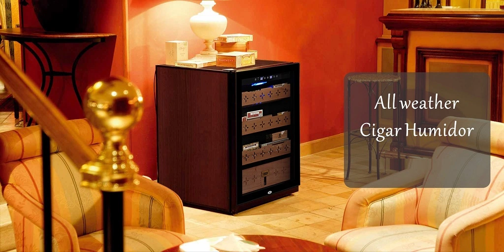 Large Two Zone Cigar Refrigerator Humidor