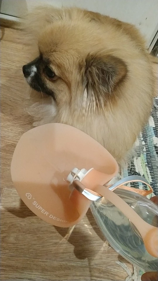 Portable Pet Travel Water Bottle Leaf Shape Dog Drinking Dispenser Fountain