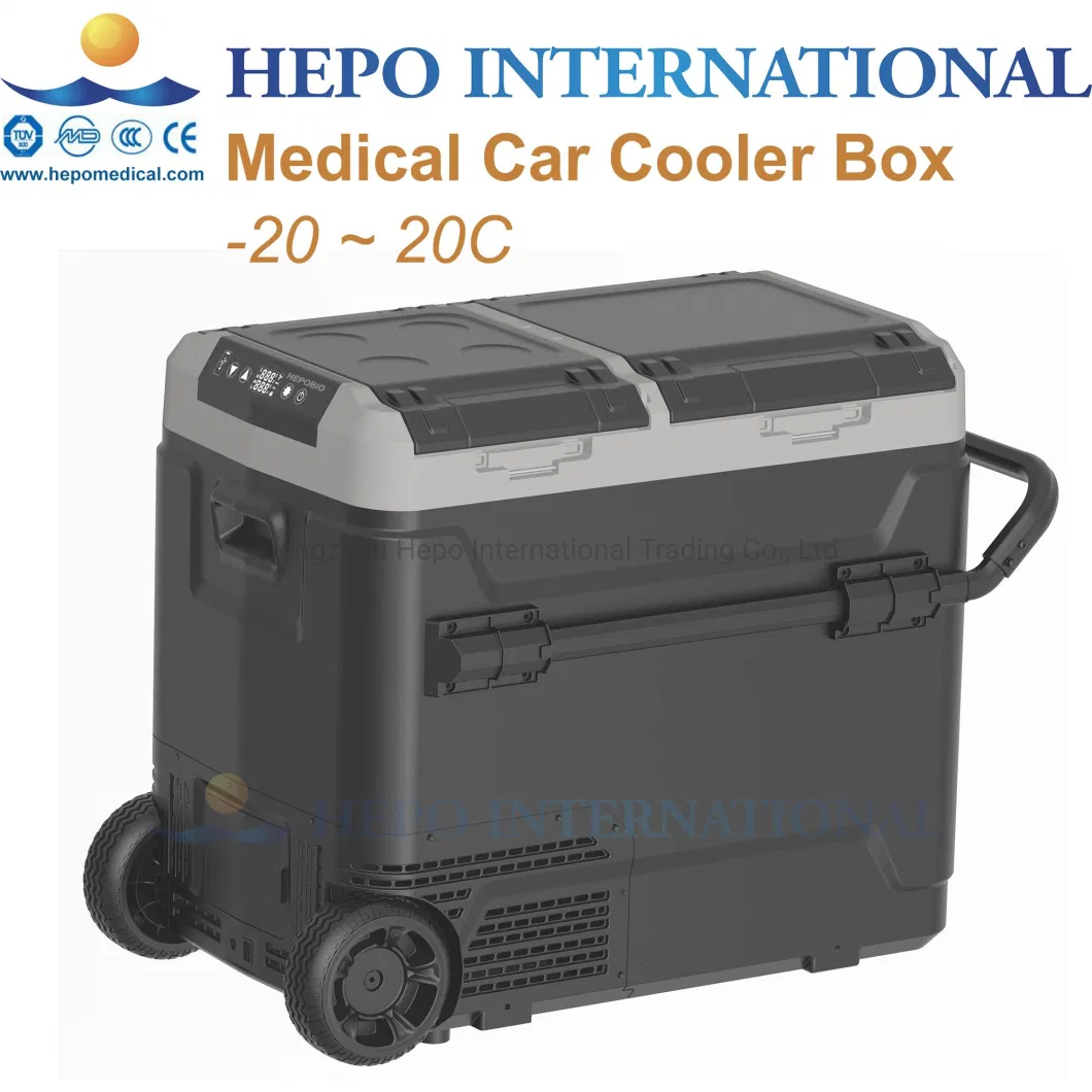 China Popular Medical DC Motor Compressor Car Cooler Box