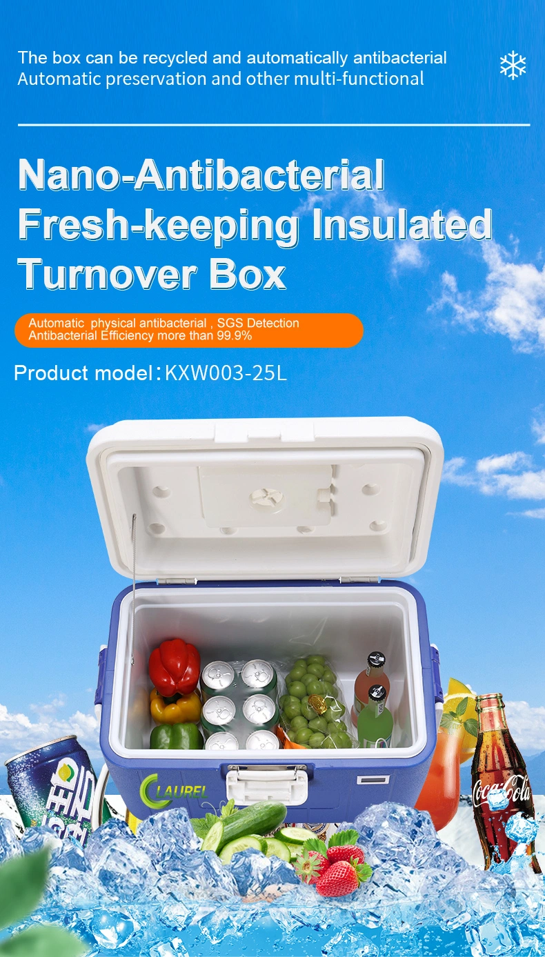 25L Plastic Portable Cooler Box Small Fishing Ice Cooler Box for Fruits and Vegetables Outdoor BBQ Cold Chain Logistics