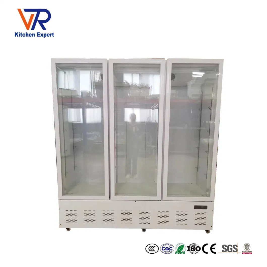 Factory Coke Cooler Refrigerator National Drinks Beer Wine Cooler Beverage Refrigeration Storage Equipment Showcase Fridge