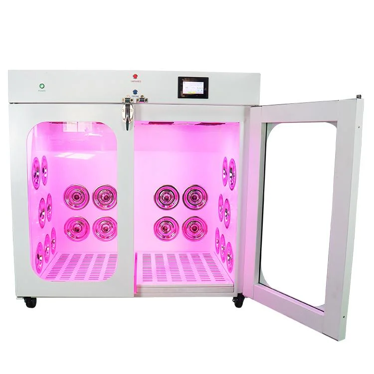 Veterinary Automatic Pet Hair Grooming Dryer Cabinet Wash and Dry Box Digital Large Pet Drying Cabinet