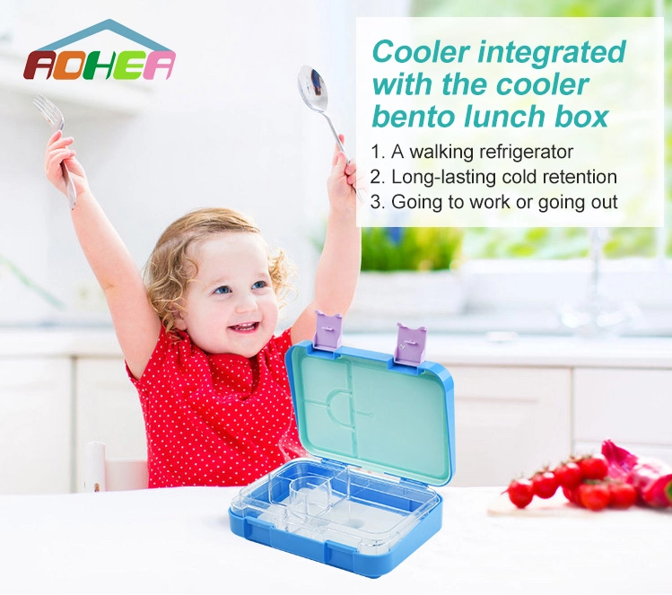 Aohea Removable Ice Pack Toddler Bento Lunch Box for Daycare, School