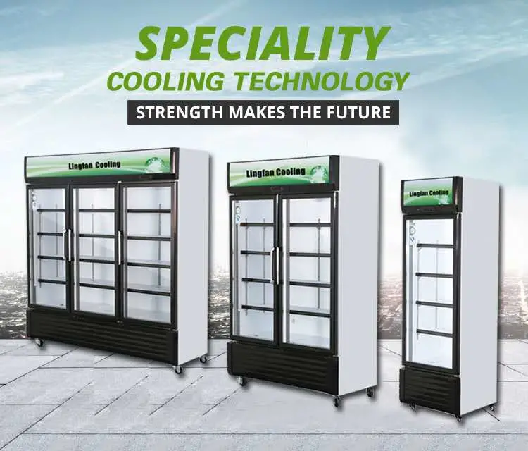 Wine Cooler Glass Door Supermarket Cold Storage Freezer Danfoss Compressor Drink Display Fridge