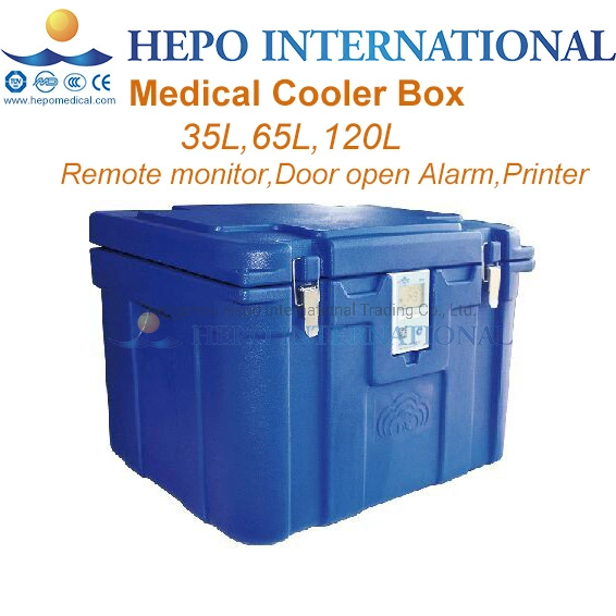 China Popular Medical DC Motor Compressor Car Cooler Box
