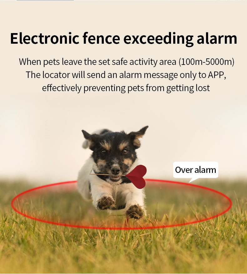 Wireless Pet GPS Tracker Collar with Bell for Cats Dogs Waterproof Intelligent GPS Anti-Lost Tracking Locator