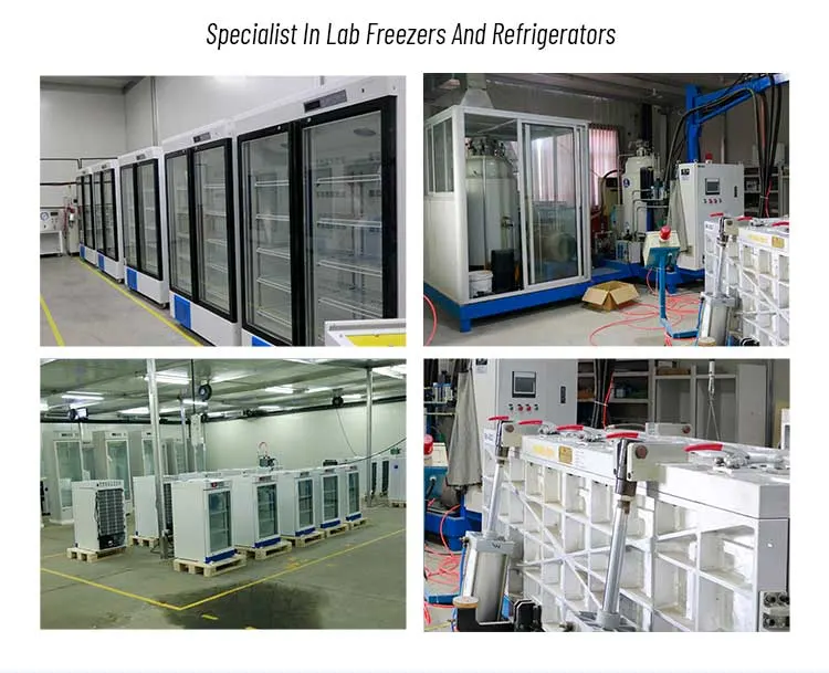 Biobase China 398L Capacity -86 Degree Freezer for Lab