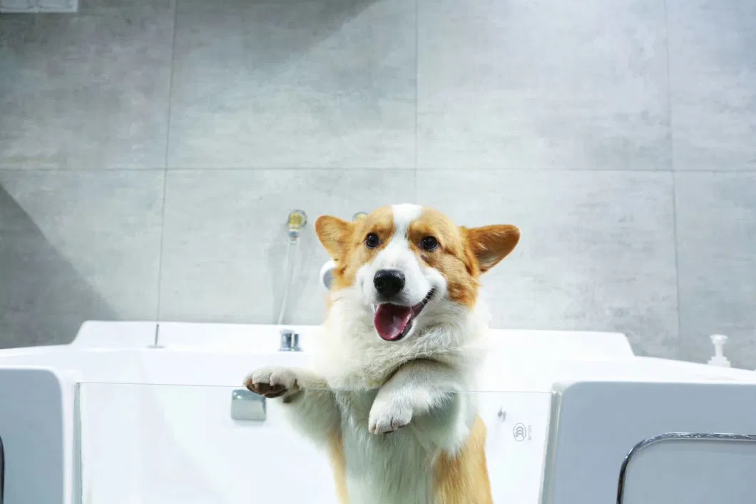 Animal Grooming Pet Cleaning Equipment Clinic/Home Use Pet Bubble SPA Dog/Cat Wash Shower Pet Bathtub