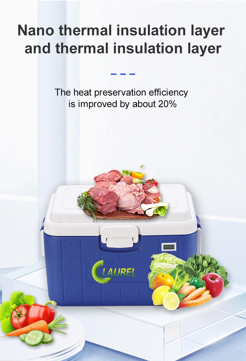 25L Plastic Portable Cooler Box Small Fishing Ice Cooler Box for Fruits and Vegetables Outdoor BBQ Cold Chain Logistics