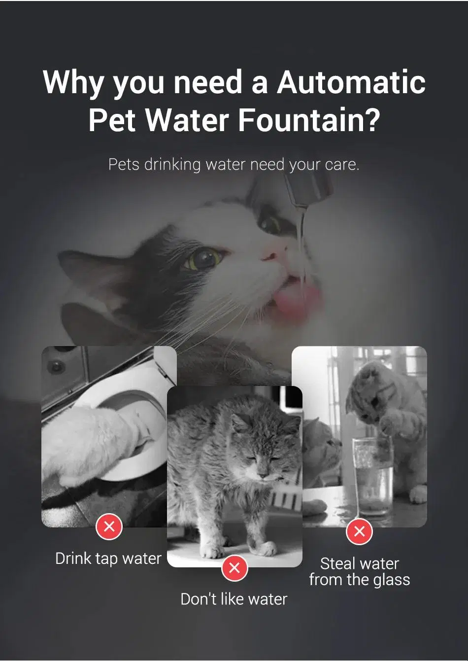 Small Volume 2L Electrical Pet Cat Dog Waterer Plug-in and Rechargeable Pet Water Fountain with 3 Level Pump