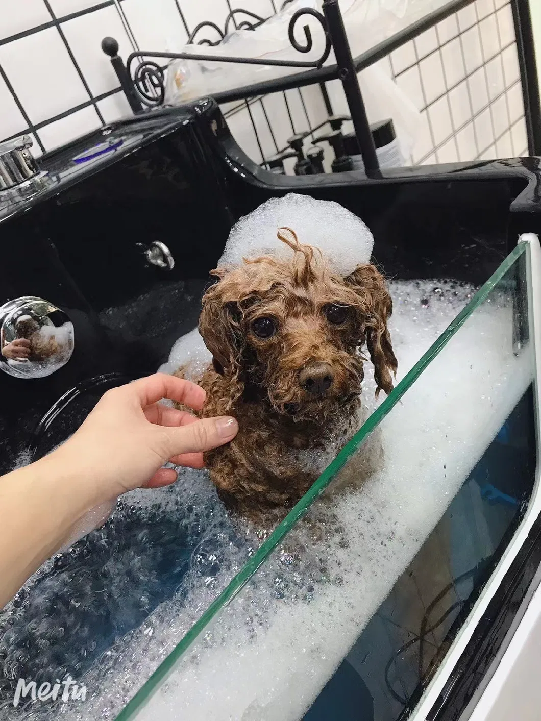High Quality Swimming Pool Dog Grooming Tubs Pet Bubble Bathtub