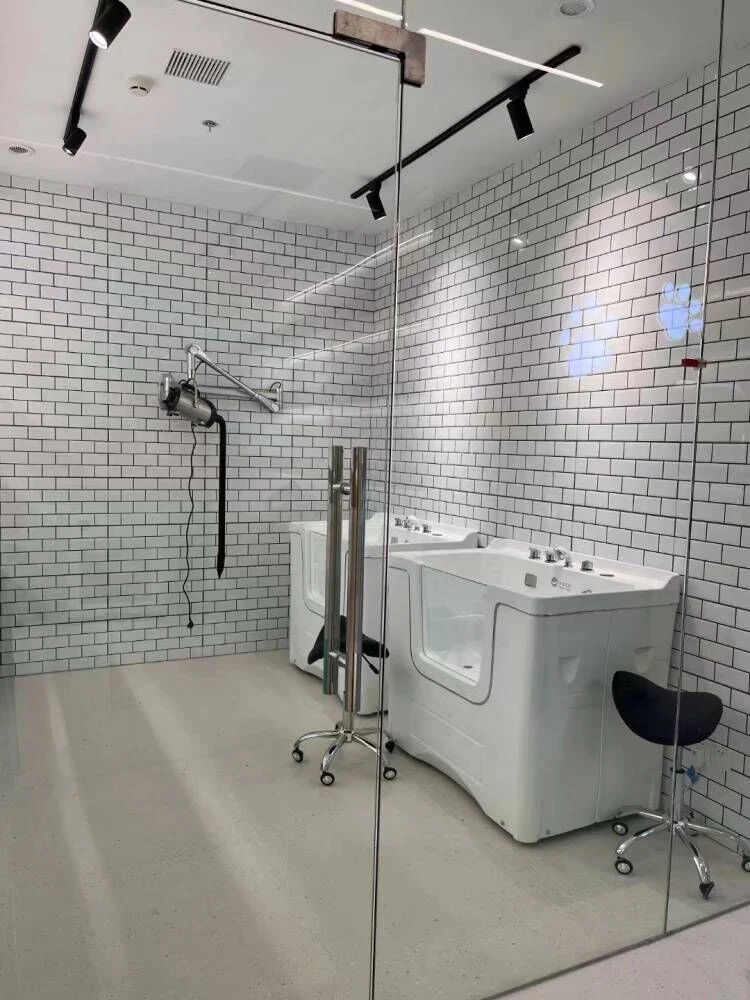 European Style Home Application Elegant White Acrylic Pet Grooming Bathtub SPA
