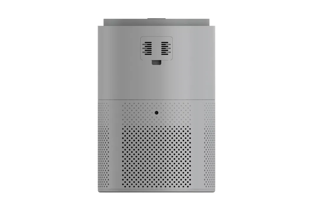 2023 New Developed with True HEPA and Pm2.5 Home Air Purifier